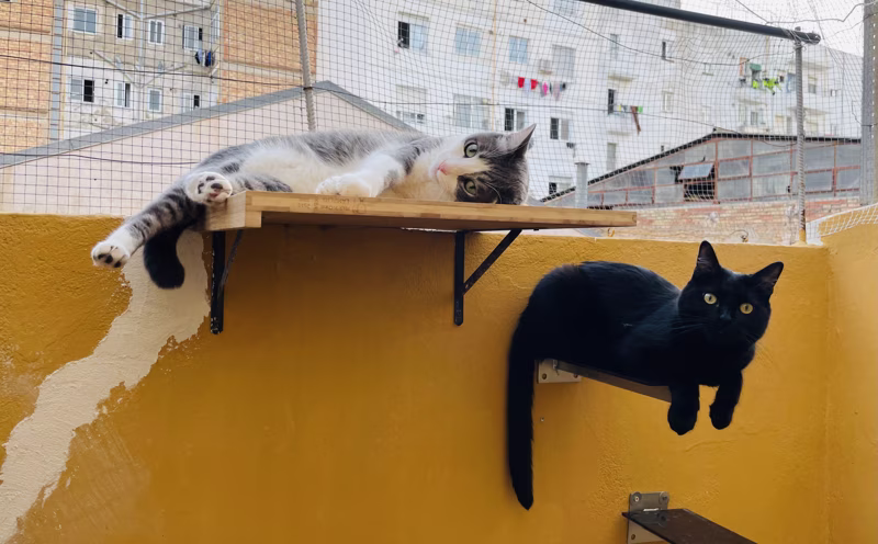 ¡Ya podemos salir a la terraza!